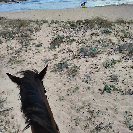 Abbamele Гостевой дом 3*